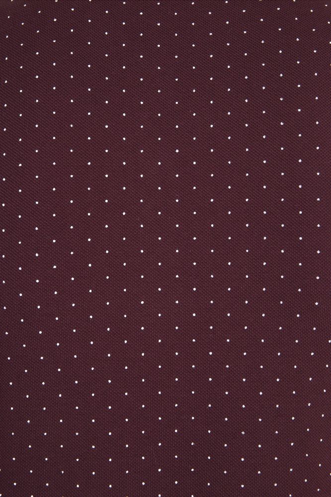 Рубашка поло мужская Brandy Men, белая с темно-синим — изображение 5