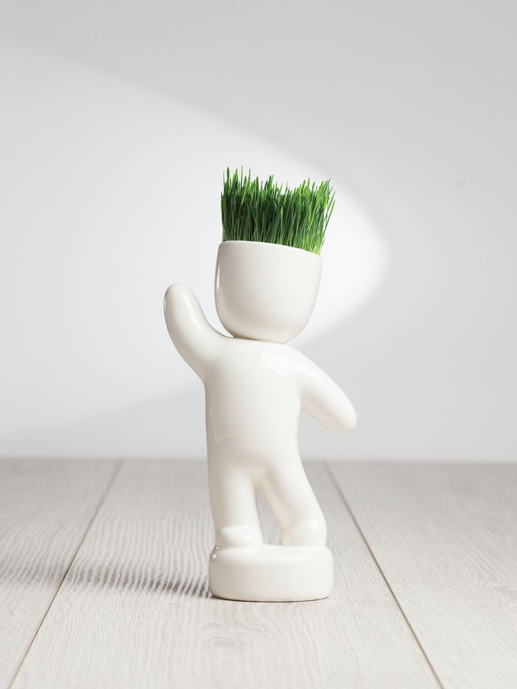 Набор для выращивания Funky Buddy — изображение 6