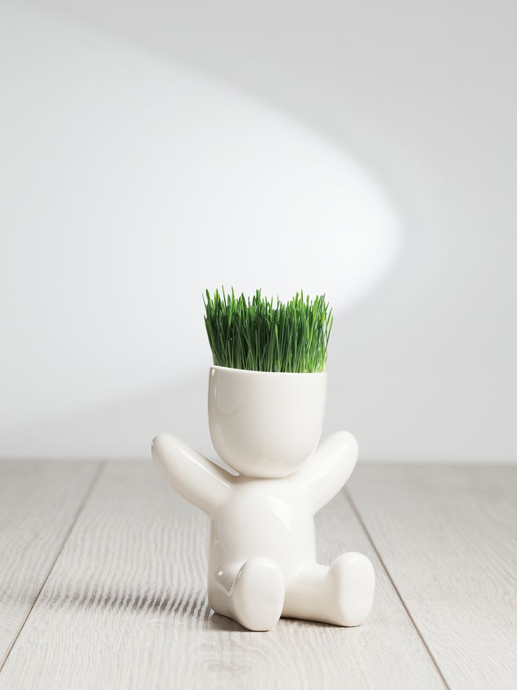 Набор для выращивания Funky Kid — изображение 7