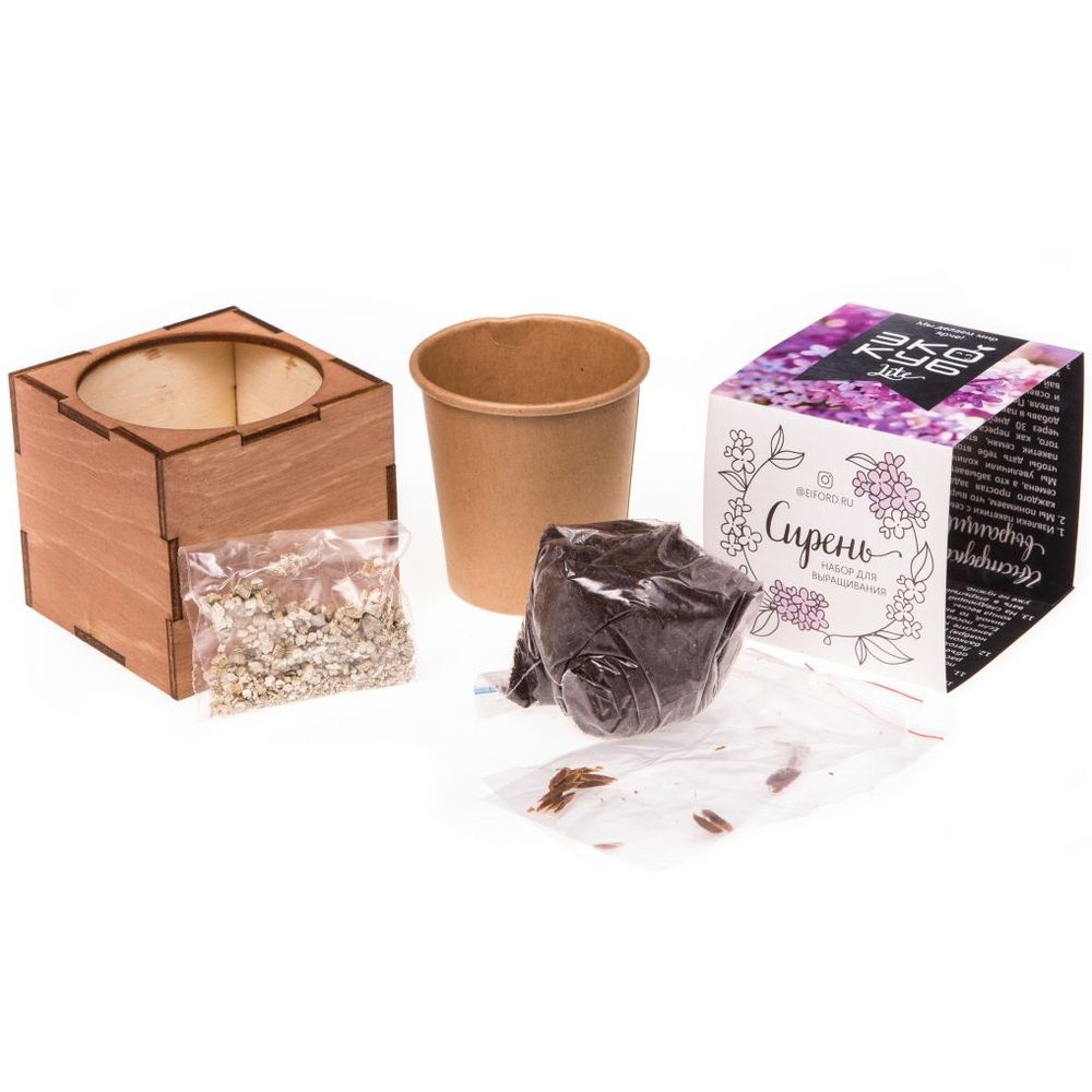 Набор для выращивания «Экокуб Lite», сирень — изображение 6