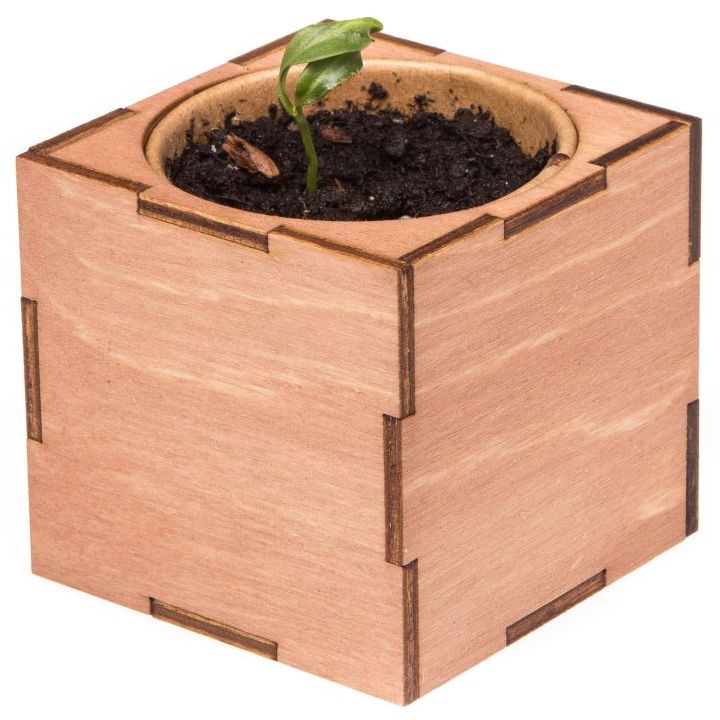 Набор для выращивания «Экокуб Lite», сирень — изображение 7