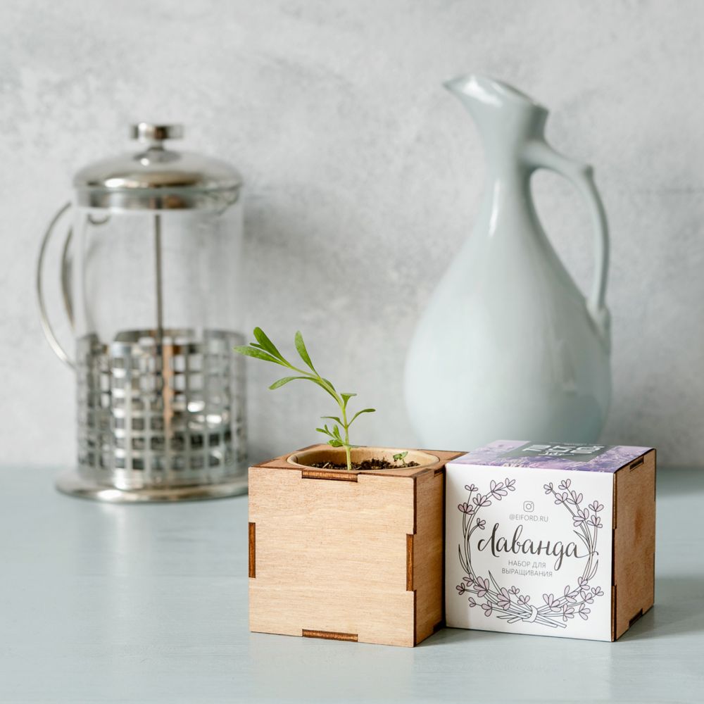 Набор для выращивания «Экокуб Lite», лаванда — изображение 3