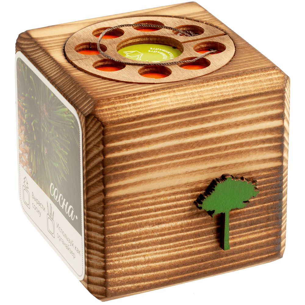 Набор для выращивания с органайзером «Экокуб Burn», сосна — изображение 3