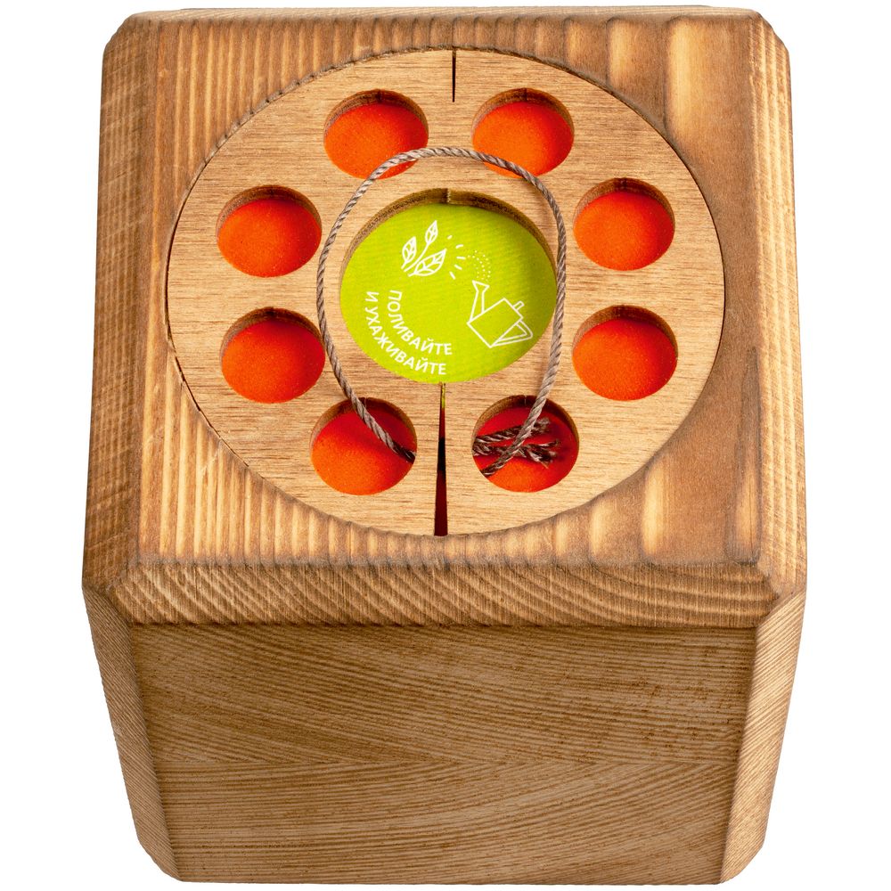 Набор для выращивания с органайзером «Экокуб Burn», сосна — изображение 5