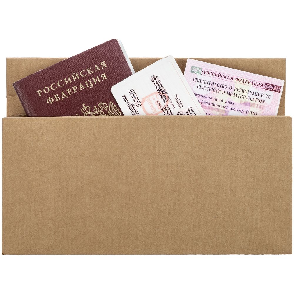 Органайзер для путешествий ticketJacket, песочный — изображение 5