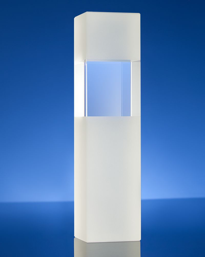 Награда Willpower, в подарочной коробке — изображение 3