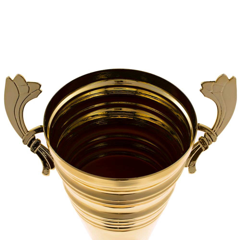 Кубок Recordsman, золотистый — изображение 4