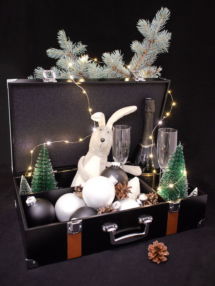 Чемодан с таймером обратного отсчета «Час Икс» — изображение 3