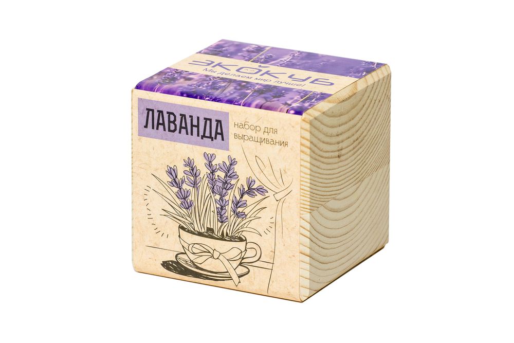 Набор для выращивания «Экокуб», лаванда — изображение 4