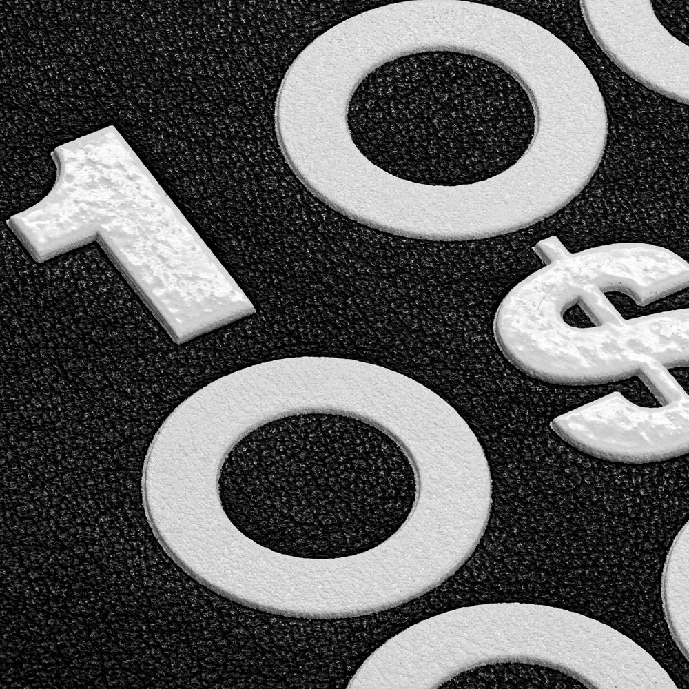 Ежедневник «Финансовая грамотность», недатированный, черно-белый — изображение 11