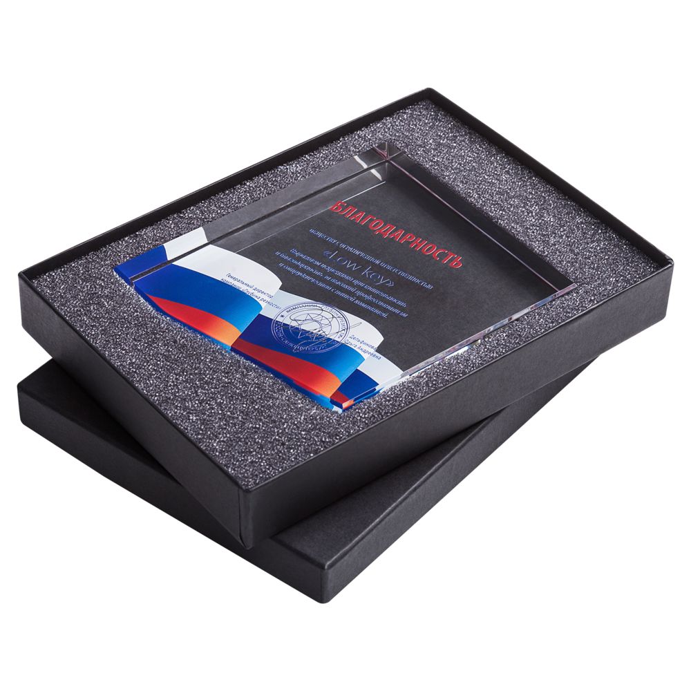 Награда «Точка опоры» — изображение 6