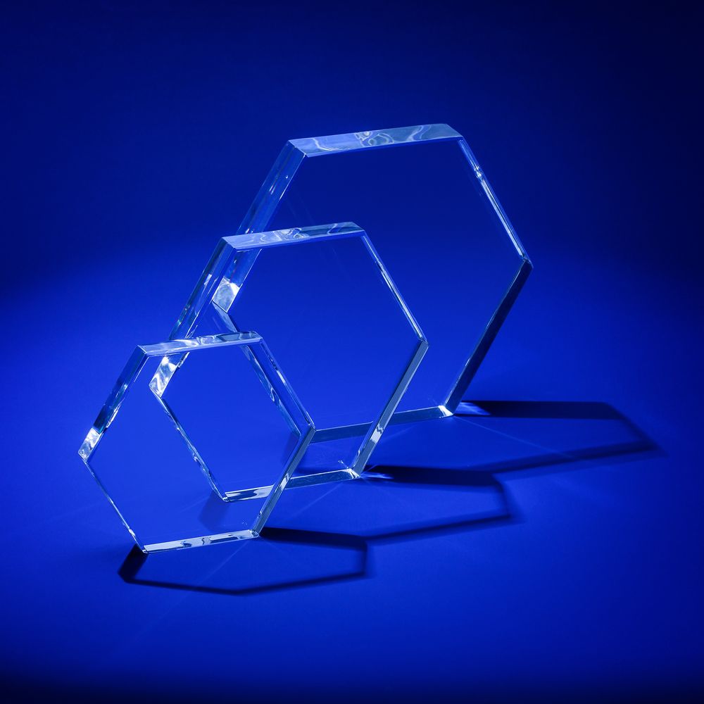 Награда Bee, средняя — изображение 4