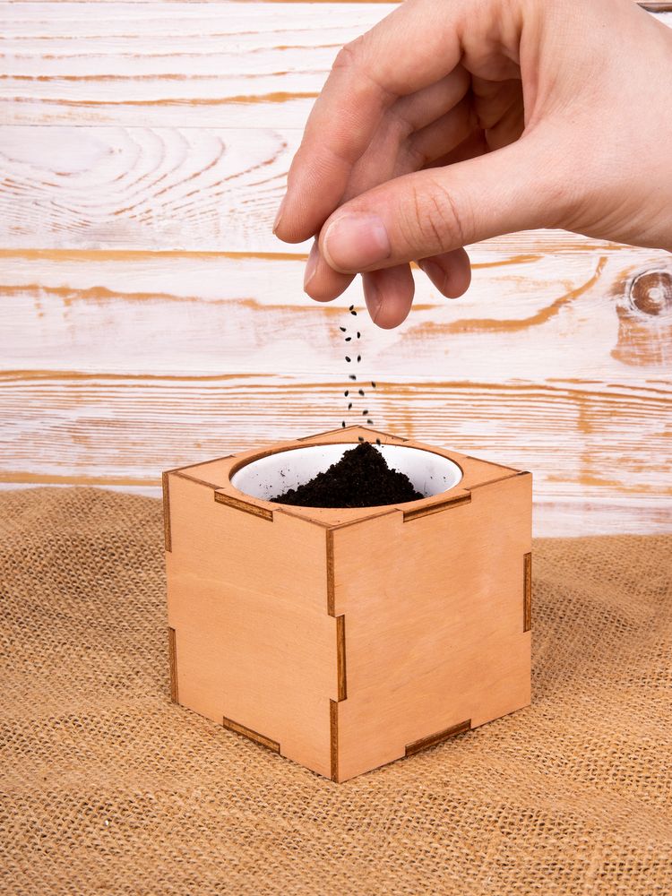 Набор для выращивания «Экокуб Lite», сирень — изображение 12