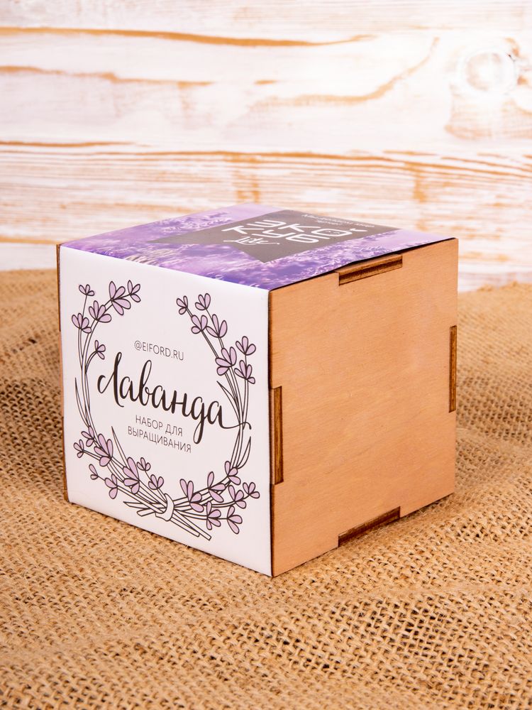 Набор для выращивания «Экокуб Lite», лаванда — изображение 9