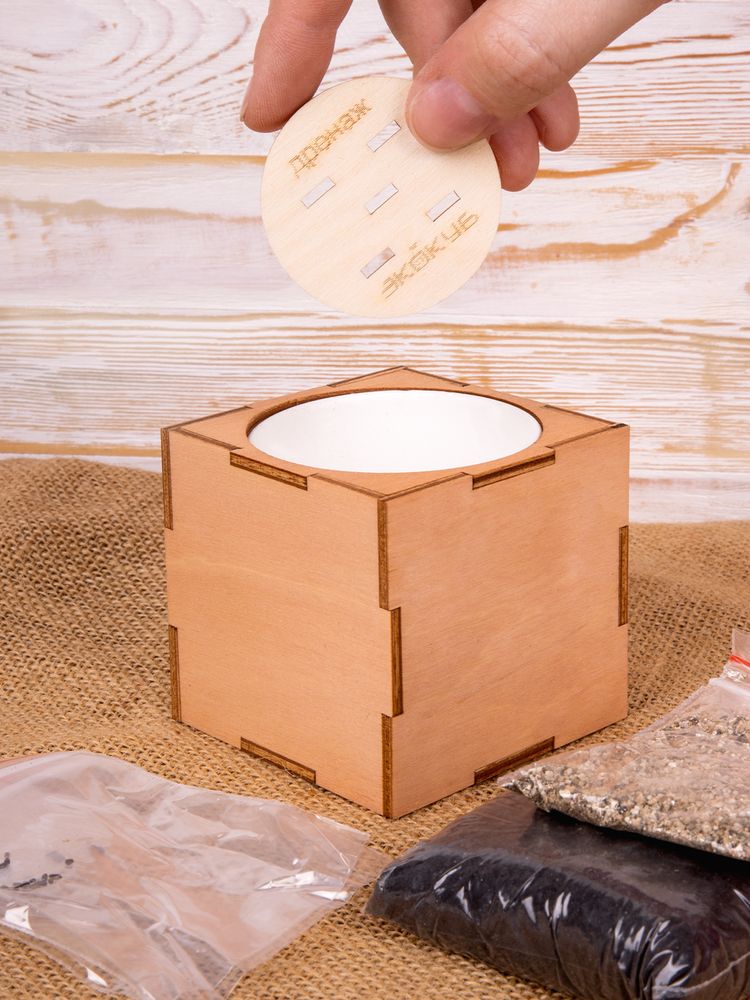 Набор для выращивания «Экокуб Lite», лаванда — изображение 10