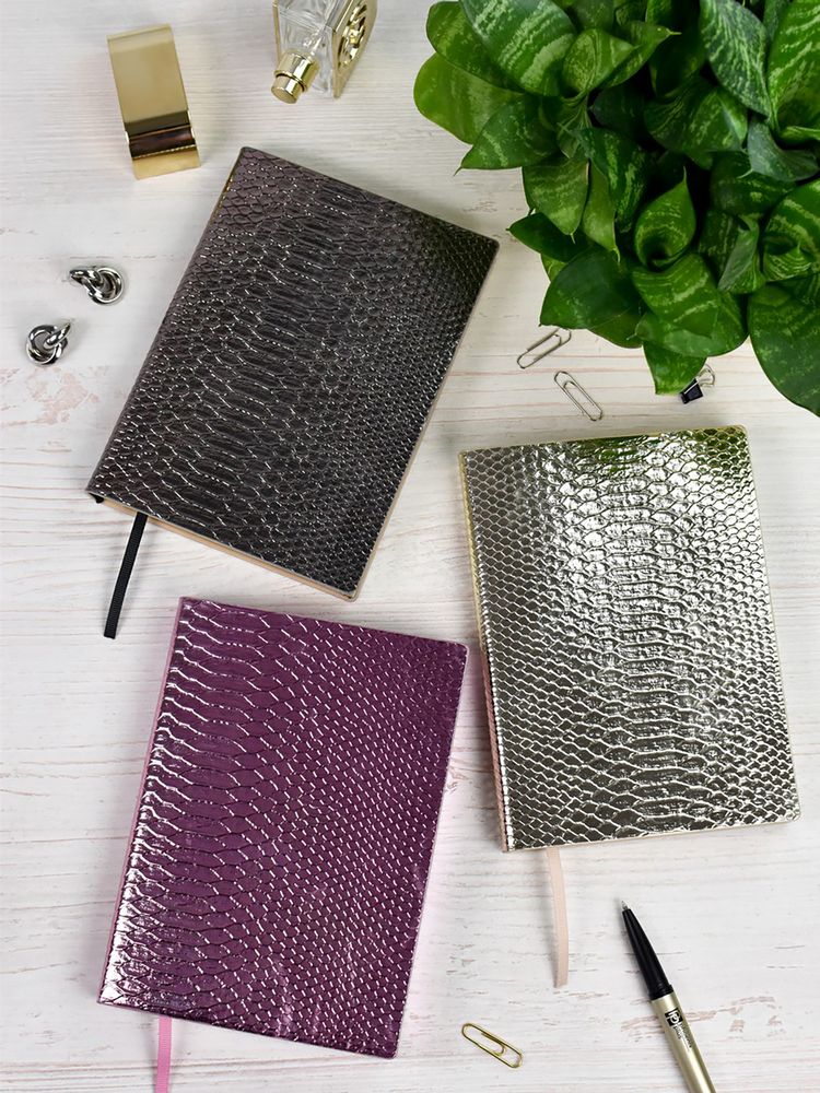 Ежедневник Anaconda, недатированный, серебристый — изображение 13