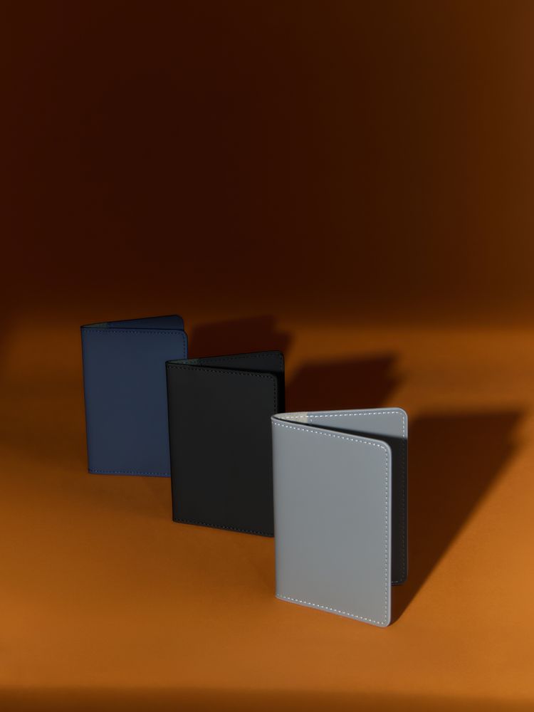 Обложка для паспорта Alaska, серая — изображение 6