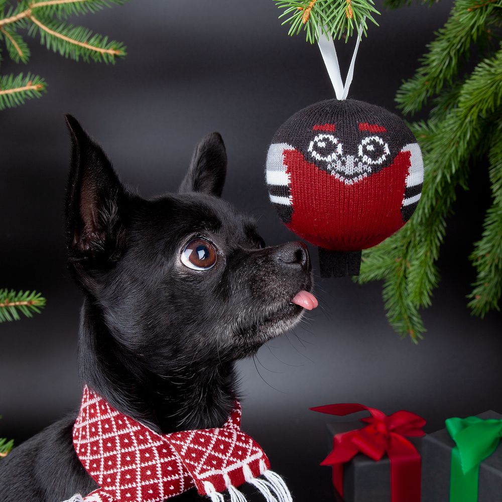 Елочный шар «Снегирь» — изображение 7