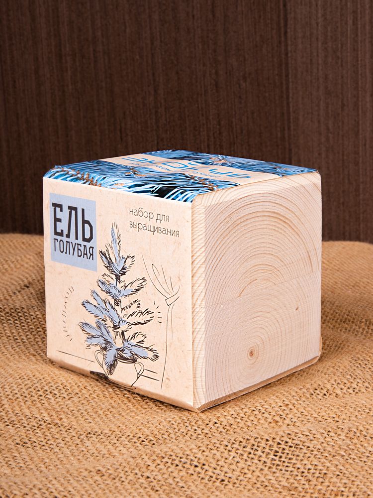 Набор для выращивания «Экокуб», ель голубая — изображение 10