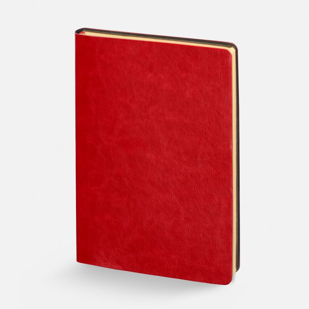 Набор Nebraska Flex, красный с золотистым — изображение 4