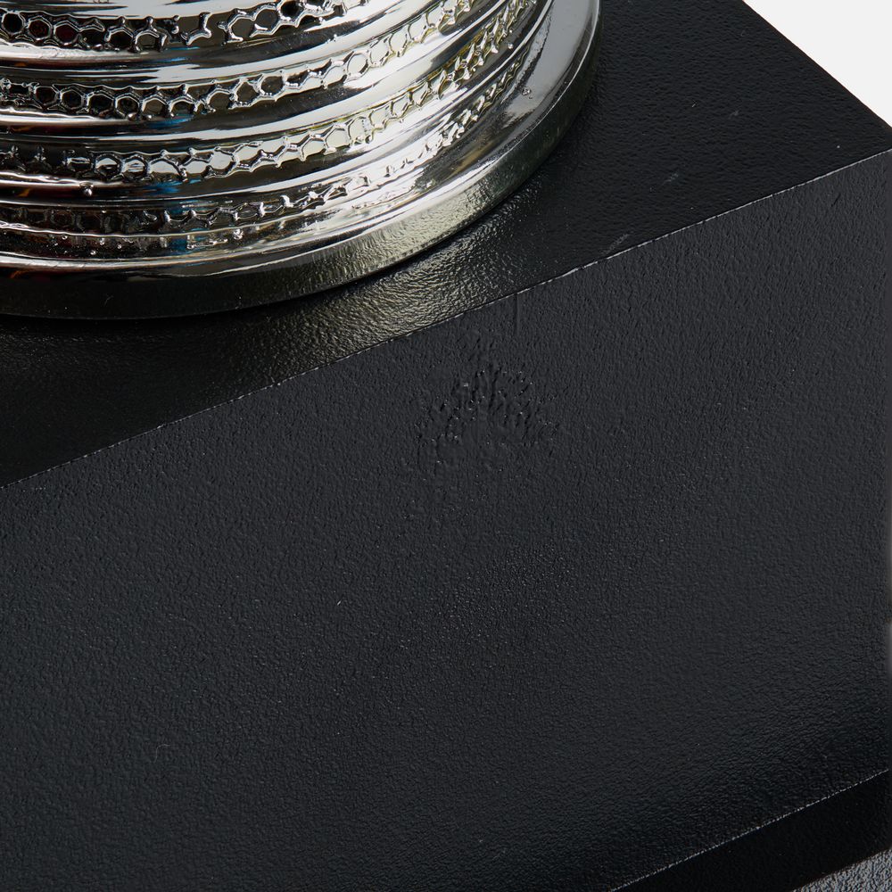 Кубок-факел Flamous Glory — изображение 7