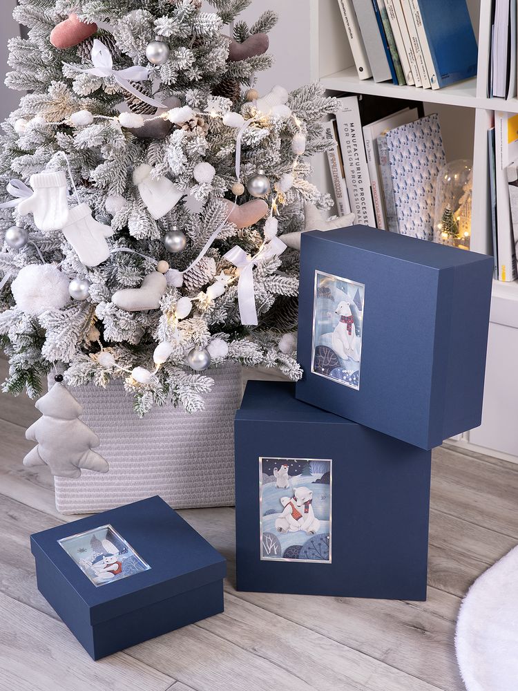 Коробка The Blue Bear, S — изображение 5