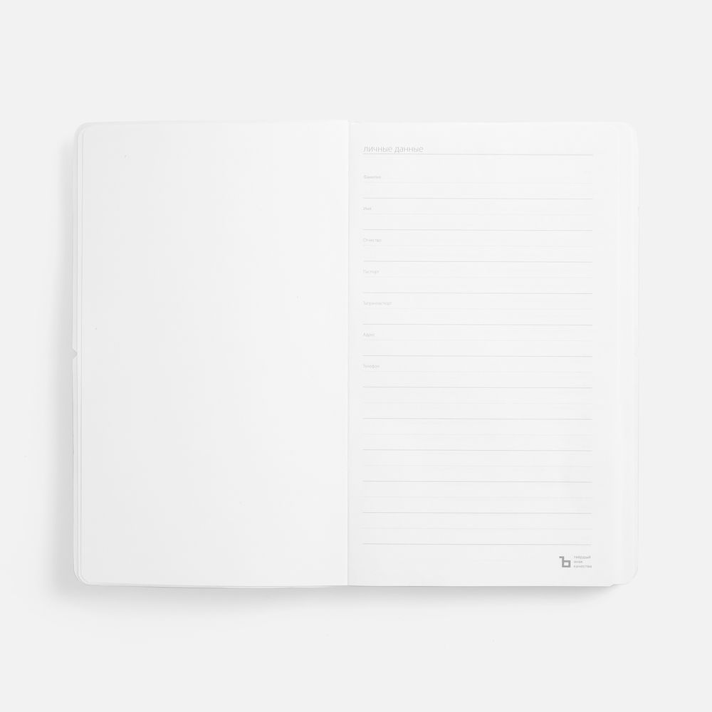 Ежедневник Waltz, недатированный, серебристый — изображение 11