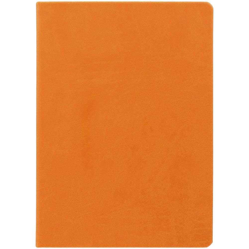Ежедневник Basis, датированный, оранжевый — изображение 3