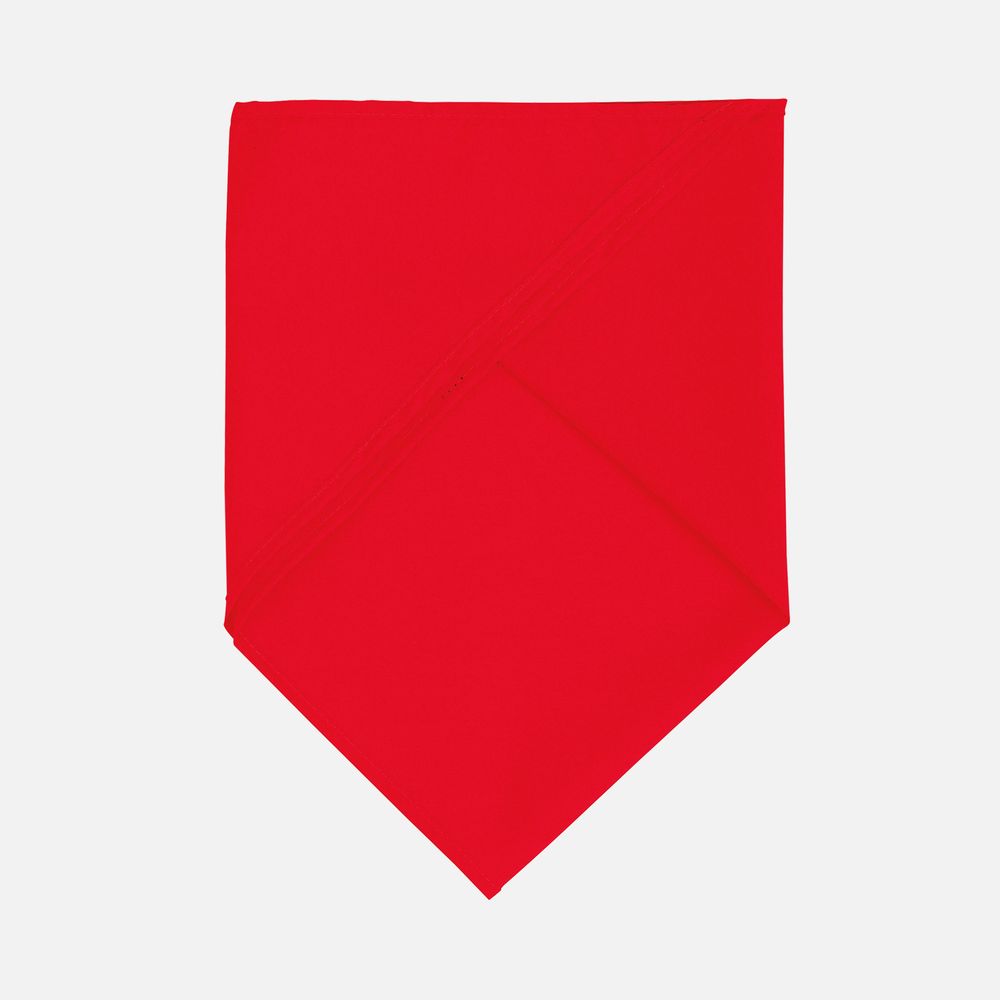 Шейный платок Bandana, красный — изображение 3