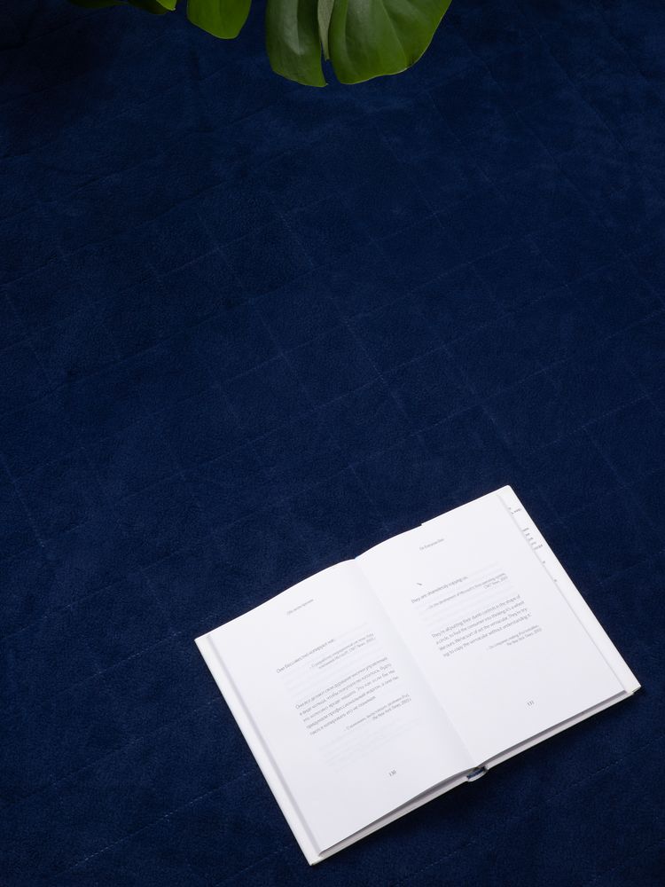 Плед для пикника Soft & Dry 2, синий — изображение 10