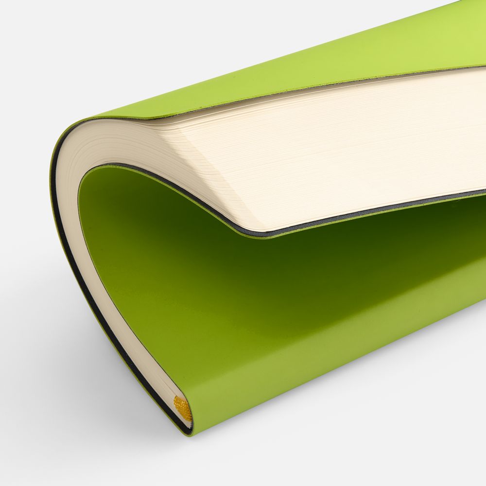 Ежедневник Flex Shall New, недатированный, светло-зеленый — изображение 8