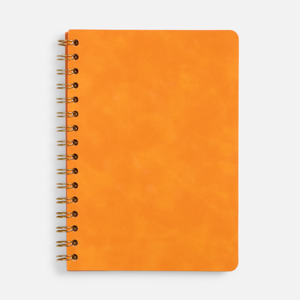 Набор Spiral Gold, оранжевый — изображение 4