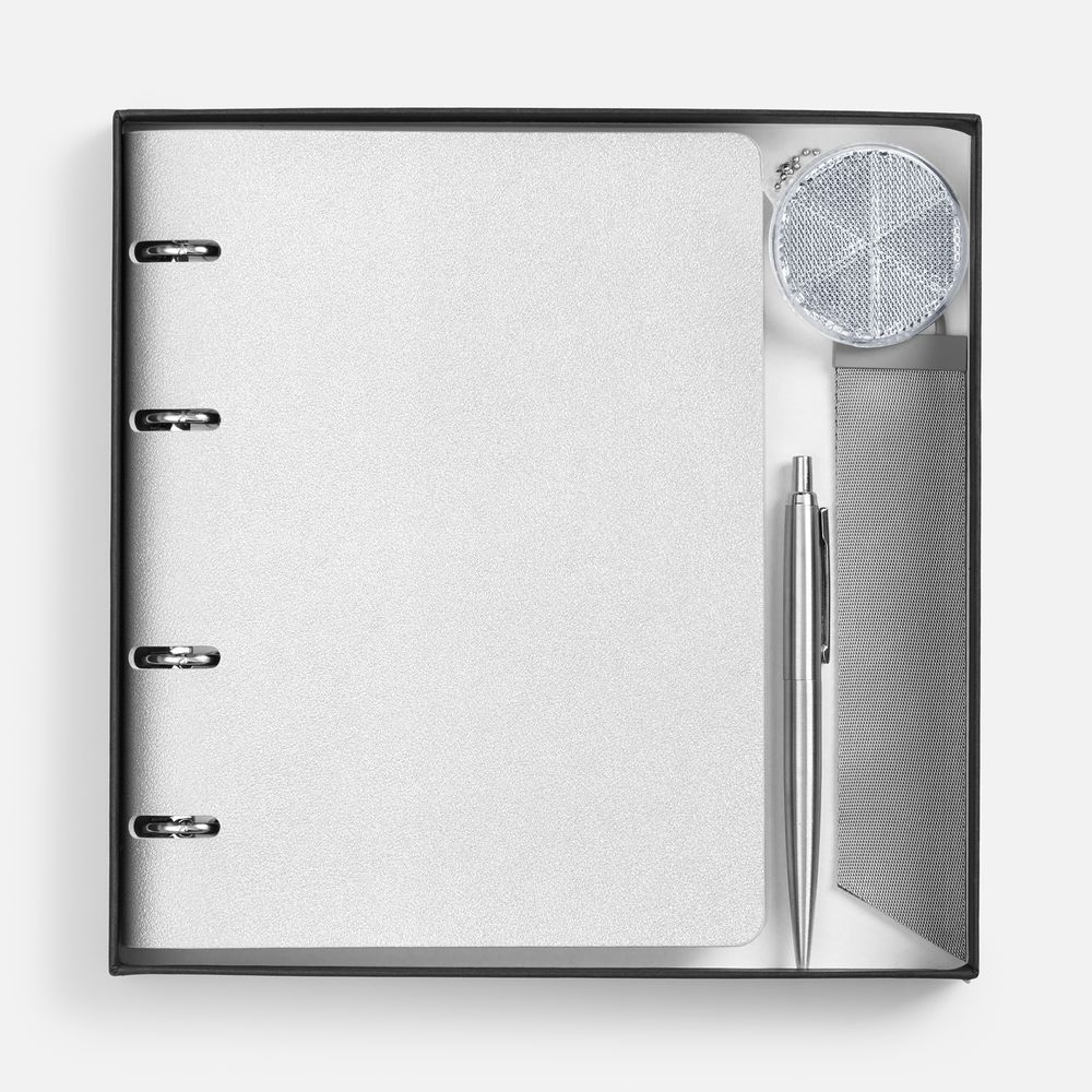 Набор Ringo, серебристый — изображение 3