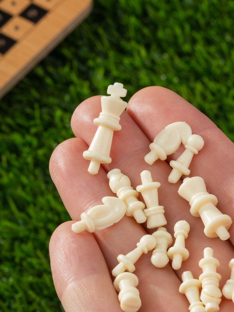 Шахматы дорожные Damier — изображение 7