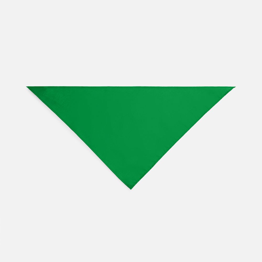 Шейный платок Bandana, ярко-зеленый — изображение 4