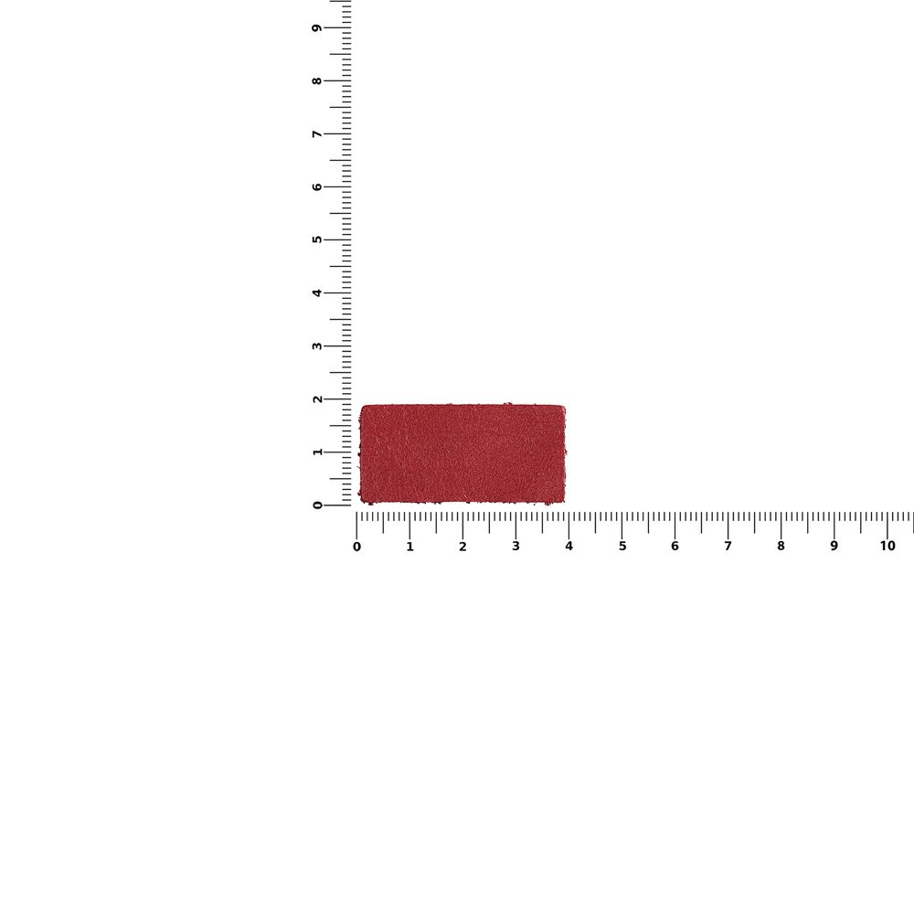 Лейбл кожаный Pasek, XS, красный — изображение 4